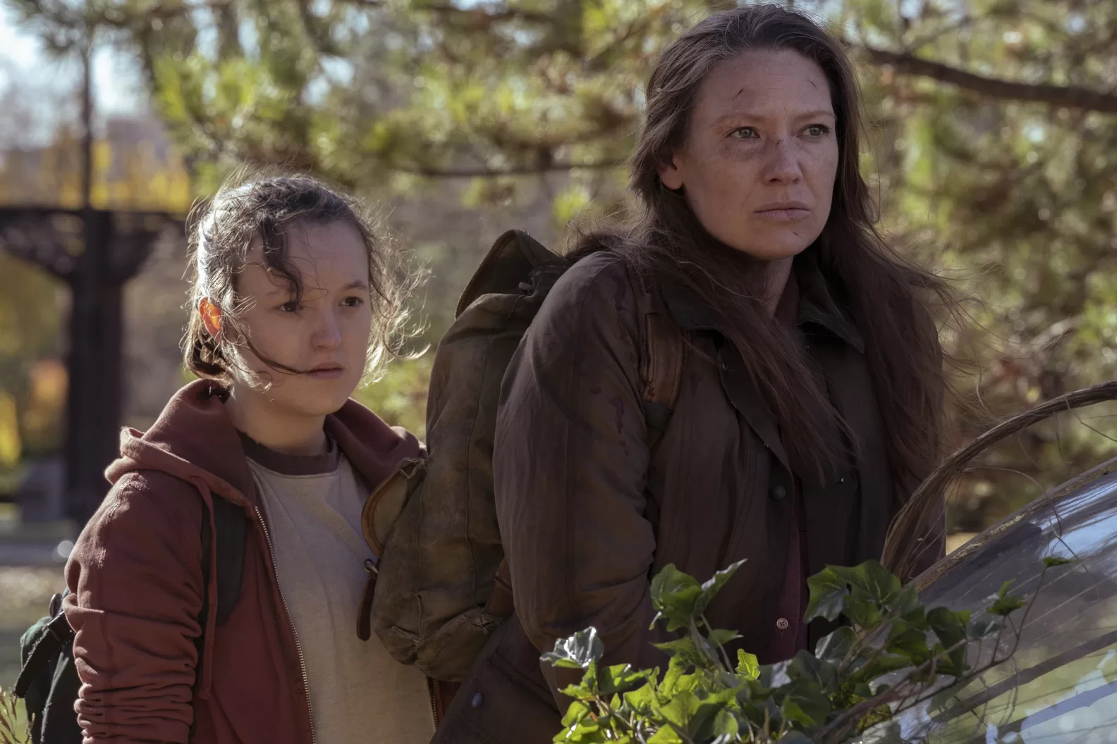 Bella Ramsey and Anna Torv is 'The Last of Us' - Agents of Fandom