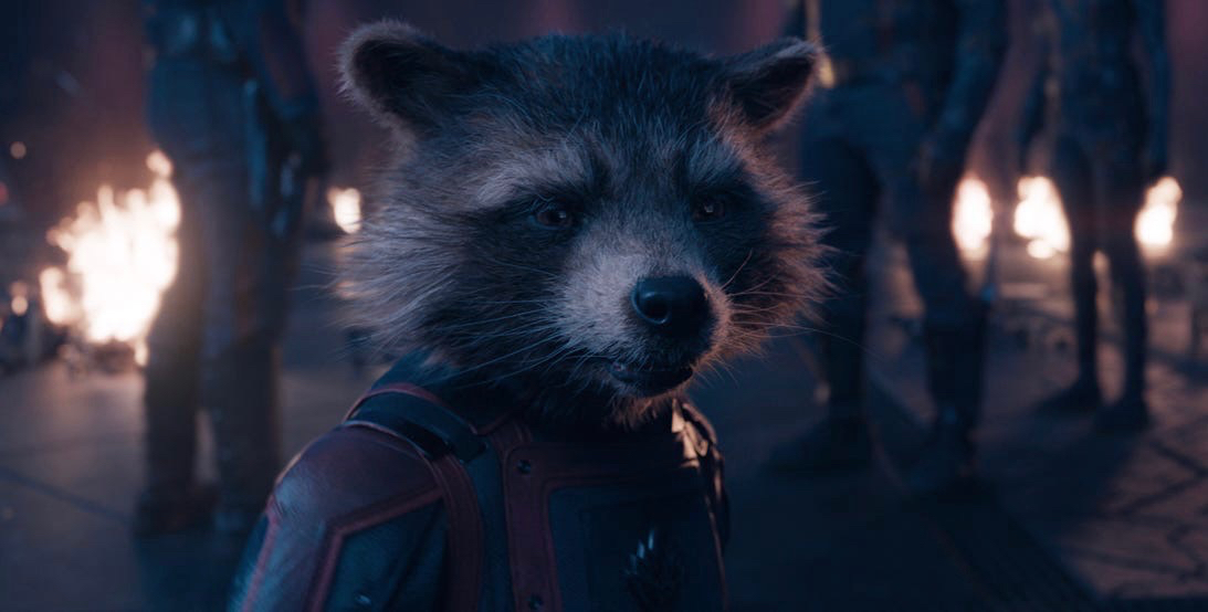 Rocket Raccoon in Guardians of the Galaxy Vol. 3 | Agents of Fandom